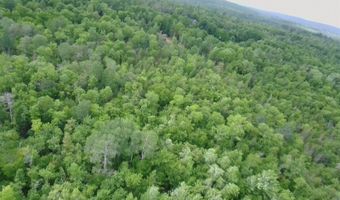 38 Monument Rd, Abbot, ME 04406