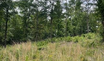 0 Lot 44 & 45 Holiday Shores Dr, Abbeville, AL 36310