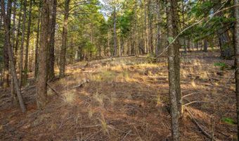 El Camino Real lot 35, Angel Fire, NM 87710