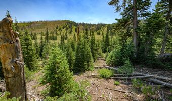 Lot 29 Aspen Mdws SE Neighbor, Brian Head, UT 84719