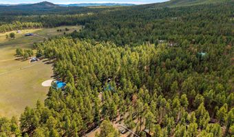 2 County Road 2081, Alpine, AZ 85920
