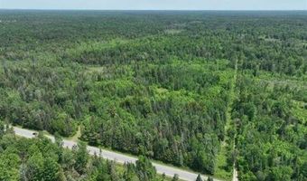 6002 Wildwood, Alger, MI 48610