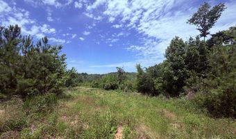 Tucker Road lot 13, Bath Springs, TN 38311