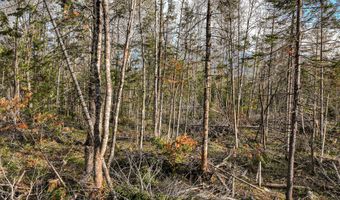 Lot 39 Sawyer Brook Road, Andover, ME 04216
