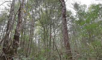TBD Hwy. 29, Brooklyn, MS 39425