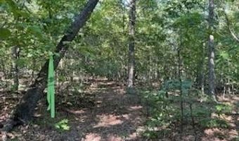 County Road 118, Annapolis, MO 63620