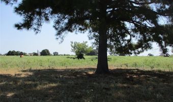 Rains County Road 2360, Alba, TX 75410