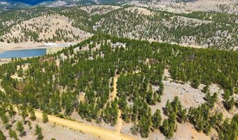 901 CR 64, Bailey, CO 80421
