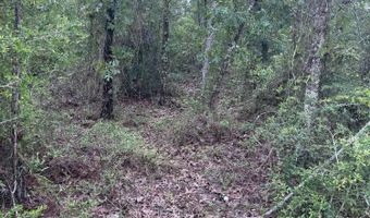 Abraham Street, Alford, FL 32420