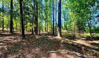 Grants Mill Rd W, Bennettsville, SC 29512