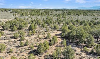 20 Acres Highway 285, Carson, NM 87577