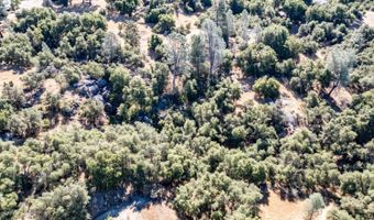 41902 Woodward Way, Ahwahnee, CA 93601