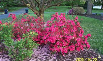 106 CREEKSIDE Dr, Dagsboro, DE 19939