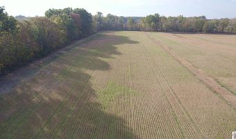 Holloway Landing Road, Barlow, KY 42024