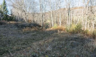 1361 Weaver Hollow Rd, Andes, NY 13731