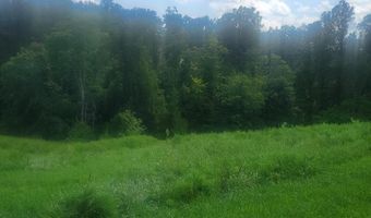 0- Lot 6 Bellview Rd, Appomattox, VA 24522