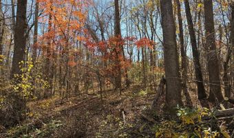 99- G Richmond Hwy, Amherst, VA 24521