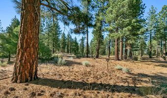 238 Redding Way, Carson City, NV 89705