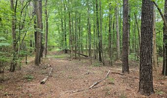 26 55 Acres Namozine Rd, Amelia Court House, VA 23002