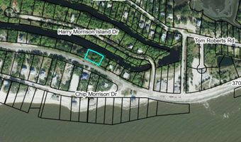 Alligator Drive, Alligator Point, FL 32346