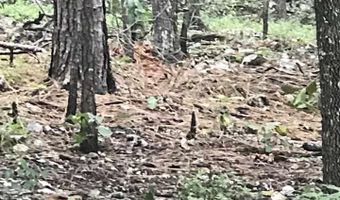 BAY POINTE DRIVE lot 91, Alpine, AL 35014