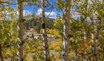 103 Gross Rd, Bailey, CO 80421