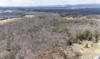 ELLY RD lot 50 81, Aroda, VA 22709