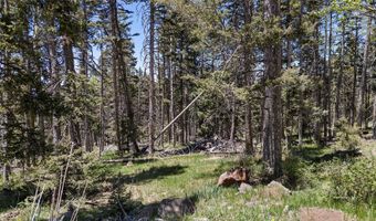 Lot 1267 STARLIGHT OVERLOOK, Angel Fire, NM 87710