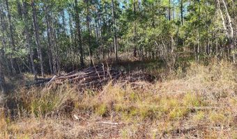 SMITH STREET, Astor, FL 32102