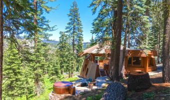 309 Snowshoe Rd, Bear Valley, CA 95223
