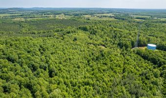 Lot 2 Tower Hill Rd, Appomattox, VA 24522