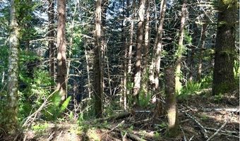 West Tunnel, Banks, OR 97106