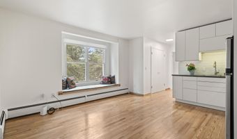 415 Pacific Ave C, Aspen, CO 81611