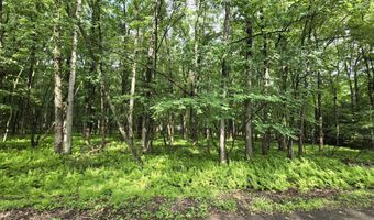 44 Poe Cir, Albrightsville, PA 18210
