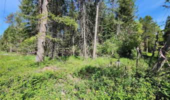 1365 MT Highway 209, Bigfork, MT 59911