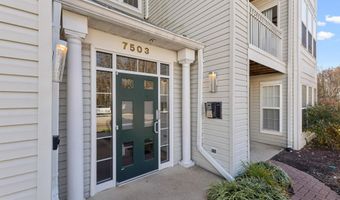 7503 CALDERON Ct G, Alexandria, VA 22306
