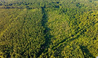 CARPENTER ROAD, Bastrop, LA 71220