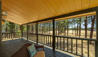 61 Co Rd 2266, Alpine, AZ 85920