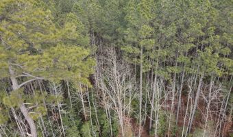 Tbd Highway 461, Ahoskie, NC 27910