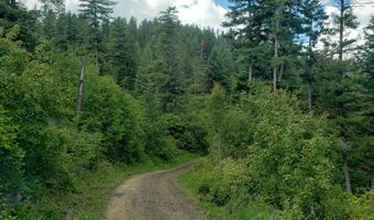 Arlee Pines lot 20, Arlee, MT 59821