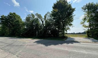 2600 Blk Sutton Parcel C, Adrian, MI 49221