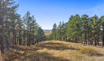 19260 19262 Other, Belle Fourche, SD 57717