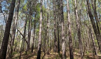 274 CR 3301, Booneville, MS 38829
