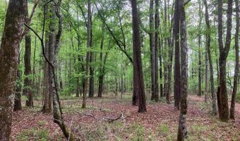 905 NEPTUNE Trl, Appling, GA 30802