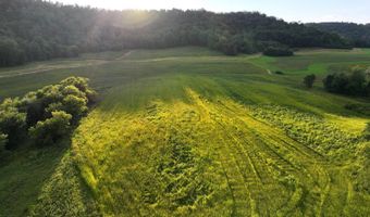 TBD Bear Pen Rd, Arkansaw, WI 54721