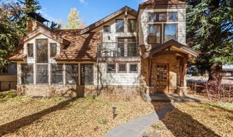 602 W Hallam St, Aspen, CO 81611