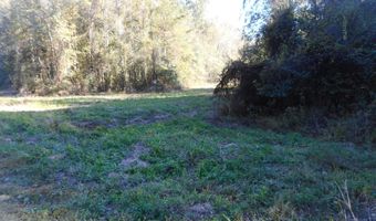 E-S Drive, Braxton, MS 39044