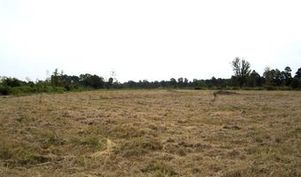 1665 Peyton Ave, Ashdown, AR 71822
