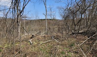 295 Shellstone Rd, Amsterdam, NY 12010