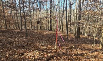 00001 Hwy 369, Ball Ground, GA 30107